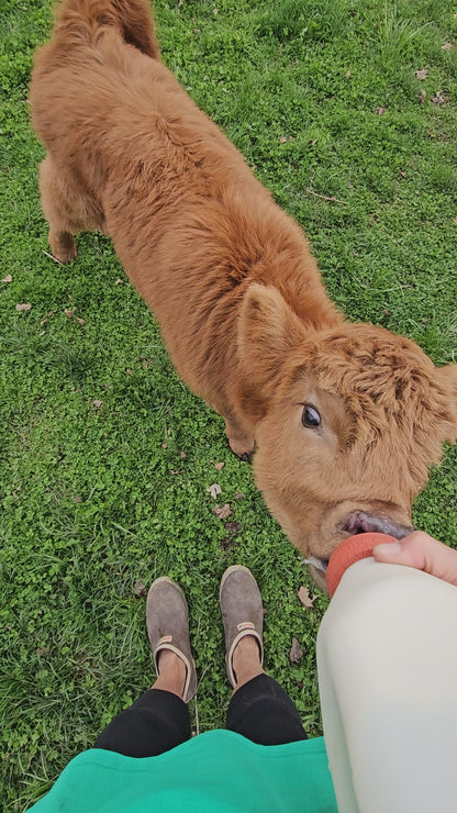 OSF Leith - Bottle Calf