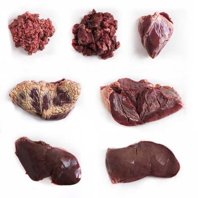 Where to buy outlet organ meat for dogs